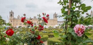 Torna Nel segno del Giglio a Colorno (PR)