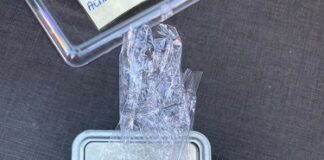 Nuove attività di controllo del Nucleo Anti Degrado della Polizia Locale