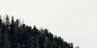 Tutte le foto di Maserati al THE I.C.E. St. Moritz – International Concours of Elegance 2022