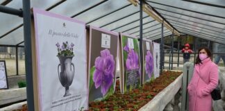 Dolce Viola. Bellezza, profumo, gusto, benessere