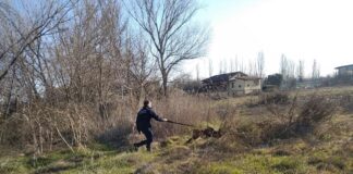 Polizia Locale: controlli a tappeto al parco del Naviglio