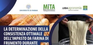 Il 22 marzo seminario on line sulla consistenza ottimale dell’impasto nella panificazione