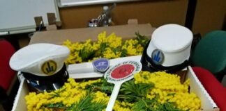 ‘Festa della donna’, sanzioni e sequestri della merce nel territorio comunale per i venditori abusivi di fiori e mimose