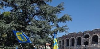 Nursing Up: Stamattina tutti in strada a Verona