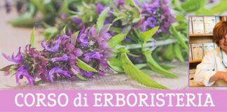 Erboristeria: corso e passeggiata di riconoscimento erbe