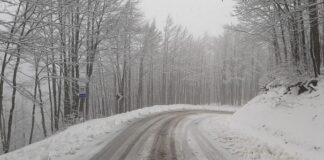 Provincia di Modena: Appennino, 15 centimetri di neve al passo delle Radici