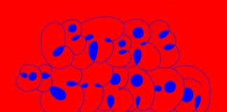 LETTERE DI STRADA: workshop il 28 e 29 maggio presso la Casa dei Colori, Bologna