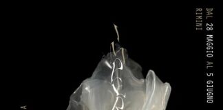 Mostra d’arte (IM)PERSISTENZE dal 28 maggio al 5 giugno 2022 a Rimini