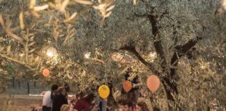 Imbrunire, il picnic tra gli ulivi nel cesenate, raddoppia