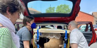 Riconsegnati a Cesena i reperti archeologici metallici e ceramici destinati al nuovo Museo Archeologico della città (FOTO)