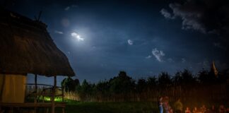 Il Parco della Terramara celebra il solstizio d’estate