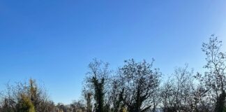 Sp 37, sabato mattina chiuso il ponte sul Lodola