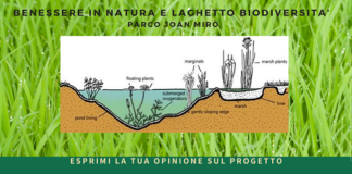 “BenEssere in natura e Laghetto della biodiversità” il 20 giugno presso il Parco Joan Mirò
