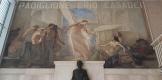 Avis – Giornata Mondiale del Donatore 2022