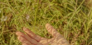 “Viscosa” nuovo singolo di GIONATA