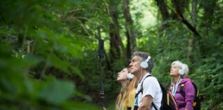 “Alberi Maestri”, 30 e 31 luglio al Rifugio Monte Orsaro di Villa Minozzo