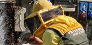 Centro fauna, fondi per il salvataggio degli animali