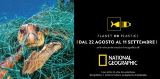 Rimini. Planet or plastic?