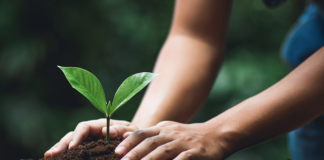 Sana 2022: ICEA pianta un albero per ogni visitatore