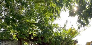 Cattolica, “Al Nido con il Comune”