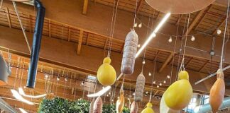 BOLOGNA IN VINO – terza edizione