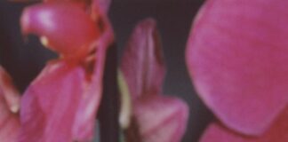 La mostra “Abissi” dal 12 dicembre 2022 al 14 gennaio 2023 a Bologna