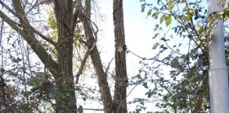 Raffiche di vento: tutti gli interventi di Geat