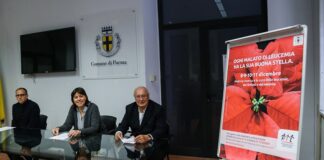 Campagna Stelle di Natale AIL 8, 9, 10,11 e 17, 18 dicembre 2022