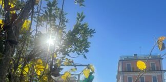 A Riccione il Natale è una favola nel “Bosco d’inverno”