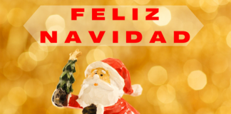FELIZ NAVIDAD – nella nuova versione ukulele e voci di Stefano Fucili