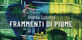 Frammenti di piume di Andrea Sabatini