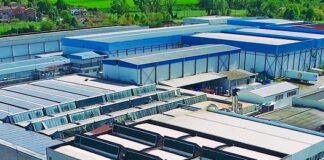 Food valley: Parma al top anche per il palato di cani e gatti