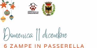 Domenica 11 dicembre 6 zampe in passerella a Forlì