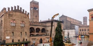 L’albero di Natale in piazza Nettuno: sabato 3 dicembre l’accensione delle luci