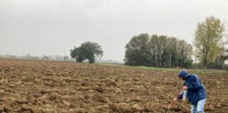 Il 22 dicembre inaugura la mostra Archeologia a Riccione