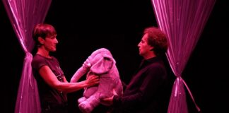 A casa bambola! dall’11 al 22 gennaio 2023 al Teatro delle Moline di Bologna