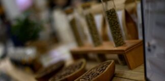 SIGEP 2023, Caffè: le sette sfide per accedere ai Campionati Internazionali