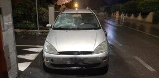 Fine settimana di maltempo, gli interventi della Polizia Locale di Cesena (FOTO)