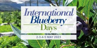 Macfrut 2023: Al Simposio mondiale del Berry il case history del Portogallo