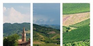 Presentato il volume: Romagna, mosaico di vita