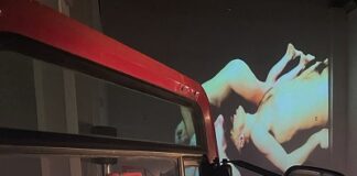 GRIGIO PIOMBO di Lenz all’APE Parma Museo