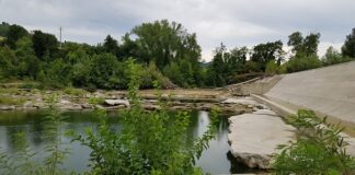 A Sasso Marconi (Bo), in località Ganzole, parte un intervento da 440mila euro per il consolidamento della briglia sul fiume Reno nei pressi di Palazzo De’ Rossi