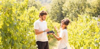 Tenuta Saiano nella selezione Raw Wine 2023
