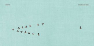 Cambiare idea, nuovo singolo di Dente, il 4 maggio sul palco a Bologna