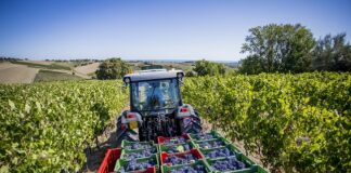 Il vino romagnolo cooperativo in evidenza al Vinitaly