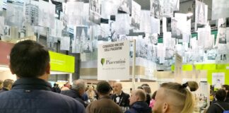Un Vinitaly da incorniciare per i vini dei Colli Piacentini