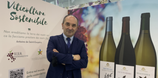 Cantina di Vicobarone: a Vinitaly 2023 si torna a promuovere la qualità