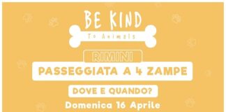 Domenica 16 aprile alla Fontana dei Quattro Cavalli la ‘Passeggiata a 4 zampe’