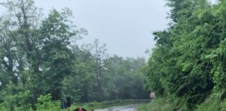 Provincia di Modena – Maltempo, strade: chiude la provinciale 19 a Prignano