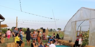 Estate al Podere OrtInsieme di Russi